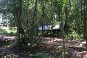 Em vợ đâm chết anh rể vì mâu thuẫn trong cuộc nhậu