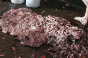 Phát hiện cơ sở nấu mỡ động vật bẩn, bốc mùi hôi thối