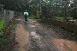 Điều tra sai phạm làm đường nông thôn ở Đồng Nai