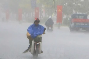 Đồng Nai, Bình Dương ra công điện khẩn ứng phó với bão số 9