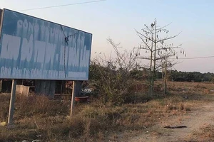 Thủ tướng chỉ đạo làm rõ vụ đấu giá đất ngàn tỉ ở Bình Dương