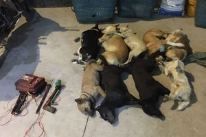 Đồng Nai: Nhóm trộm chó dùng nỏ chống công an