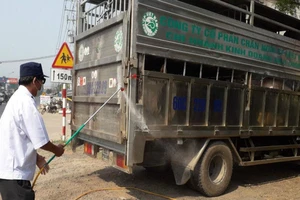 Đồng Nai: Lập Ban Chỉ đạo phòng, chống dịch tả heo