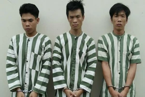 Cướp ô tô trên quốc lộ táo tợn trong đêm