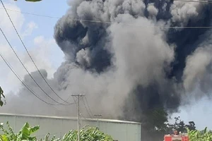 Đồng Nai: Cháy khủng khiếp công ty tái chế nhựa