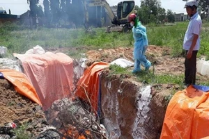 Đồng Nai: Xử lý nghiêm vận chuyển, kinh doanh heo bệnh 