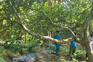 Người đàn ông làm nghề môi giới chết bất thường trong rẫy