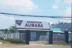 Làm rõ UBND huyện Long Thành có 'tiếp tay' cho Alibaba không?