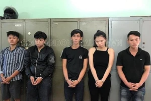 Công an Đồng Nai triệt phá nhóm mua bán ma túy đá