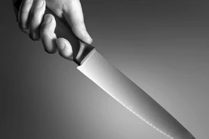 Đồng Nai: Không được thăm mẹ, một phụ nữ đâm chết em dâu