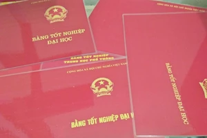 Đồng Nai: 1 chủ tịch phường có bằng Đại học trước bằng cấp 3