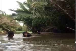 Các trinh sát ngâm mình dưới nước sâu, bùn lầy để vây bắt sòng bạc. Ảnh: CAĐN