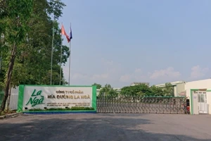 Phạt Công ty Mía đường La Ngà hơn 4 tỉ vì 'đầu độc' môi trường