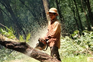 Gấp rút giải ngân 23.000 tỉ cho dự án sân bay Long Thành 