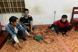 Trộm cáp hệ thống camera đường cao tốc mang đi bán ve chai