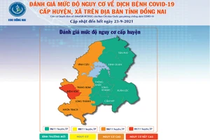 Đồng Nai có 6 huyện, thành phố đạt vùng xanh