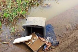 Công an Đồng Nai bắt 2 nghi can trộm két sắt