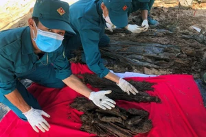 Đồng Nai: Phát hiện 22 hài cốt liệt sĩ đặc công Rừng Sác