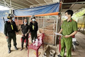 Nhóm giang hồ Đồng Nai nhận hàng chục triệu đồng 'bảo kê' hút cát 