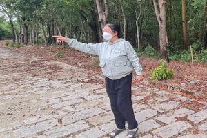 Diễn biến bất ngờ vụ 'không cần biết cây của ai, không cần biết cây nằm đâu'