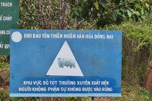 Dự án cầu Mã Đà: Cục bảo tồn thiên nhiên không đồng ý làm đường xuyên Khu bảo tồn