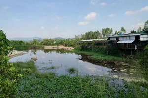 1 trại heo bị xử phạt gần 600 triệu vì vi phạm môi trường