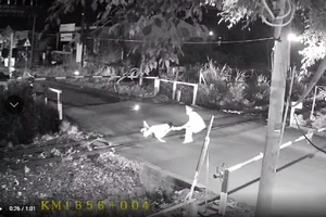 Nhân viên gác chắn cứu người té ngã giữa đường ray khi đoàn tàu đang lao tới