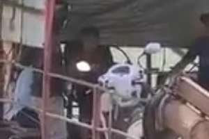 Bé trai hơn 10 tuổi lái phà chở khách qua sông Đồng Nai