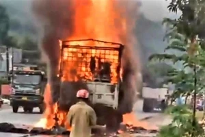 Xe tải chở hàng đi làm từ thiện cháy dữ dội ở Đồng Nai