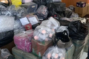 Hàng ngàn đồ chơi tình dục không rõ nguồn gốc ở Biên Hòa