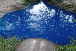 Nước 'có màu lạ' xả ra từ cống thoát nước trong Khu công nghiệp ở Đồng Nai