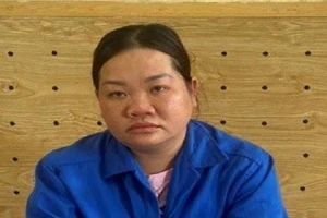 Đồng Nai: Bắt Kế toán trưởng Trung tâm Phát triển quỹ đất tham ô 27 tỉ đồng