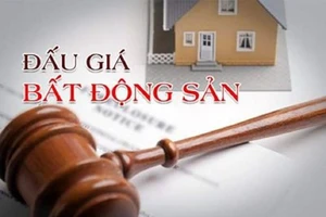 Đồng Nai dự kiến sẽ đấu giá 3 khu đất trong năm 2023