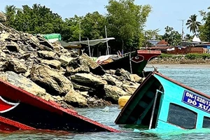 Nguyên nhân đò chở 12 người đi chùa bị lật ở sông Đồng Nai 