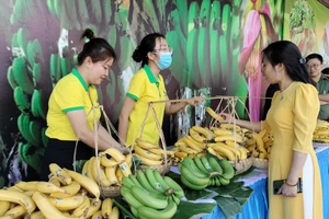 Đồng Nai muốn xuất khẩu 500.000 tấn chuối trong năm nay