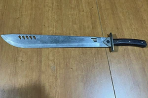 161 Đồng Nai bắt giữ nhóm thanh niên đi truy sát gia đình tiểu thương 