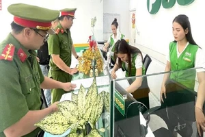 Công an Đồng Nai đồng loạt kiểm tra các cơ sở cho vay tài chính F88