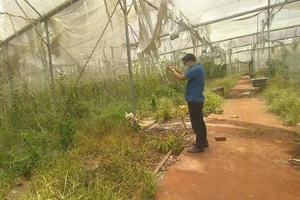 Chuyển công an điều tra sai phạm tại Trung tâm Công nghệ sinh học Đồng Nai