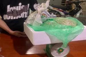 Vận chuyển 10.000 viên thuốc lắc từ nước ngoài về Đồng Nai tiêu thụ