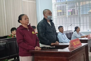 Diễn biến mới vụ 'không cần biết cây của ai, không cần biết cây nằm đâu'