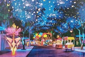 Xây dựng Con đường ánh sáng ở Biên Hòa