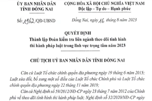 Đồng Nai: Lập Đoàn kiểm tra theo dõi tình hình thi hành pháp luật 