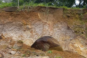 Đồng Nai: Núi Chứa Chan xuất hiện nhiều chỗ có nguy cơ sạt lở