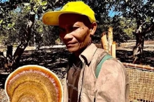 Tìm thấy thi thể người đàn ông đi lạc 23 ngày trong rừng Cát Tiên