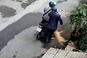 Chỉ 3 giây ‘cẩu tặc’ bắn gục con chó trước cổng nhà dân rồi tẩu thoát