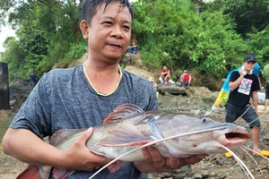 Hàng ngàn người đi săn bắt cá ở đập Thủy điện Trị An