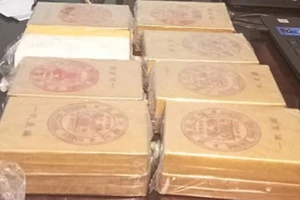 Trinh sát Đồng Nai mật phục vây bắt thanh niên vận chuyển 16 bánh ma túy 