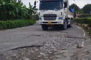Đề nghị khắc phục 'ổ voi' trong dự án BOT đường 768 ở Đồng Nai