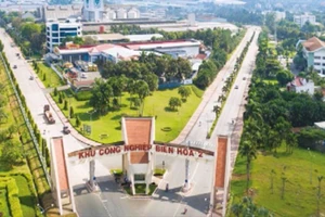 Thành lập tổ công tác thúc đẩy phát triển khu công nghiệp Đồng Nai