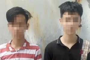 Hai thiếu niên chém, cướp tài sản của nhân viên giao hàng